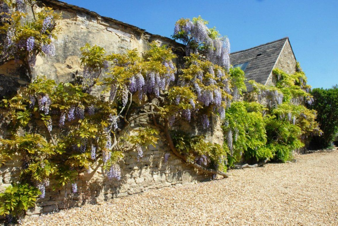 Marlborough Arms Hotell Woodstock Bekvemmeligheter bilde